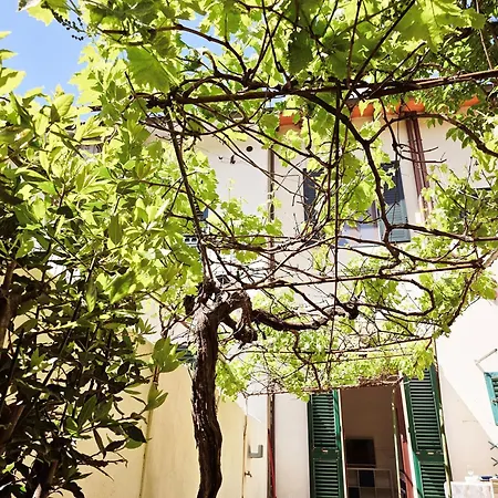 Alice's Garden * Florencja