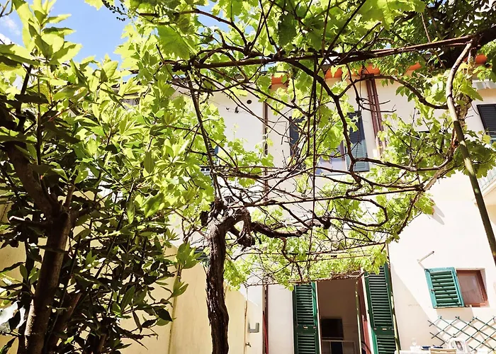 Alice's Garden * 佛罗伦萨